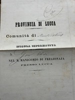 Fascicolo cartaceo recante la dicitura dattiloscritta: "Provincia di Lucca. Comunità di Montecatini. Modula informativa per l'ammissione di Gori Oliate nel R. Manicomio di Fregionaja presso Lucca"